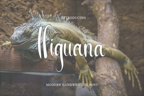 Higuana Font: A Handwritten Typeface for Modern Editorial Design