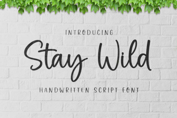 Stay Wild Font for Modern Web Design Projects
